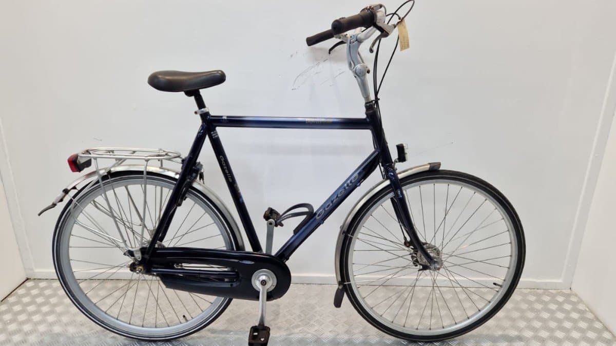 Gazelle Davos