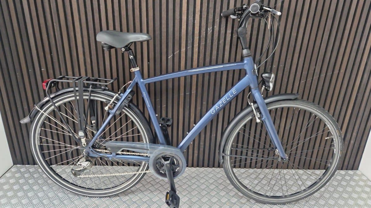 Gazelle Chamonix Sportive
