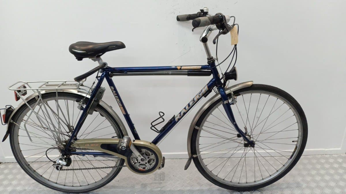 Raleigh Hornet